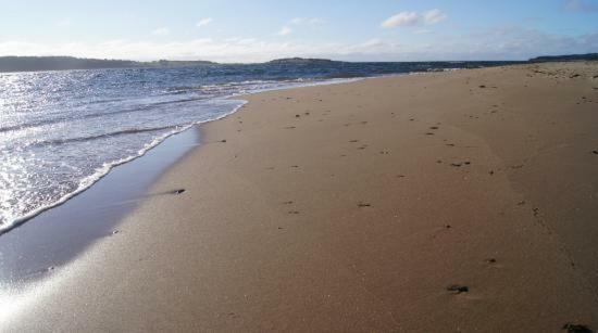 The Fiddle And The Sea Bed And Breakfast Port Hood Экстерьер фото