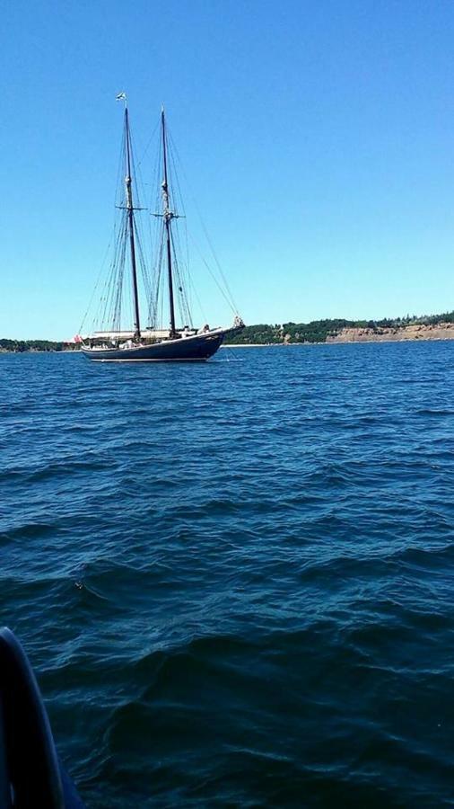 The Fiddle And The Sea Bed And Breakfast Port Hood Экстерьер фото